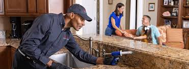 Best Indoor Pest Control  in Kearny, AZ