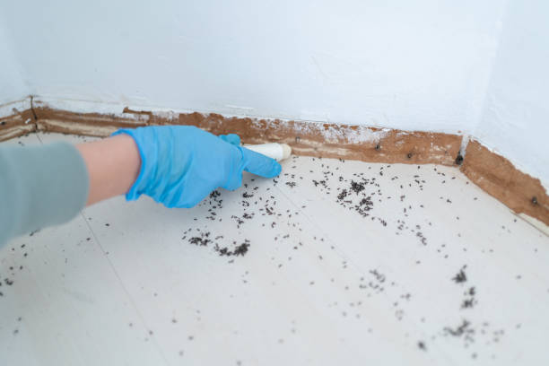 Best Pest Exclusion Services  in Kearny, AZ